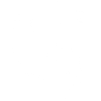 feature-item-3