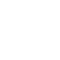 feature-item-4